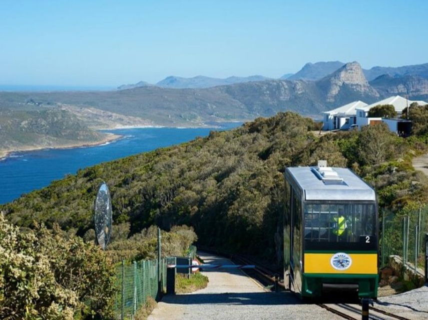 Cape Point, Penguins, Table Mountain Full Day Private Tour - Additional Information