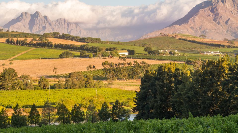 Cape Town: 3 Regions Private Cape Winelands Tour - Common questions