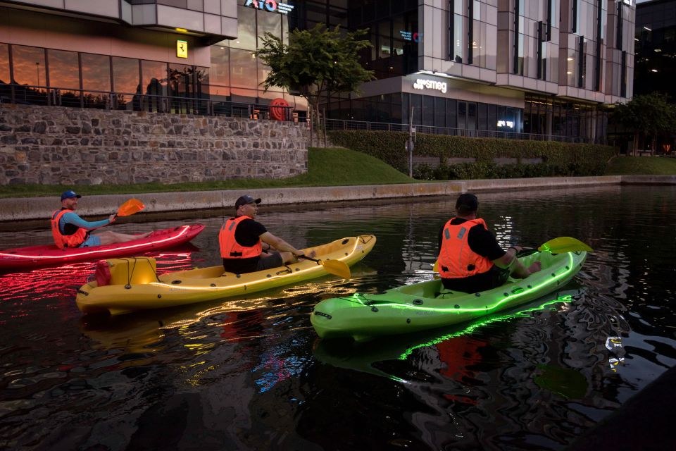 Cape Town: Day or Night Guided Kayak Tour in Battery Park - Varied Tour Times and Settings