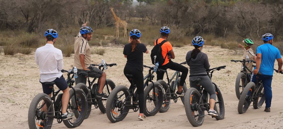 Cape Town: Guided E-Bike Safari Tour - Cancellation Policy