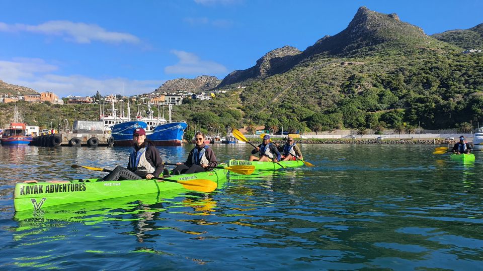 Cape Town: Guided Kayaking in Hout Bay - Last Words