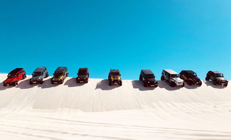 Cape Town: Jeep Dune Adventure Tour, Sandboarding & Transfer - Activity Inclusions