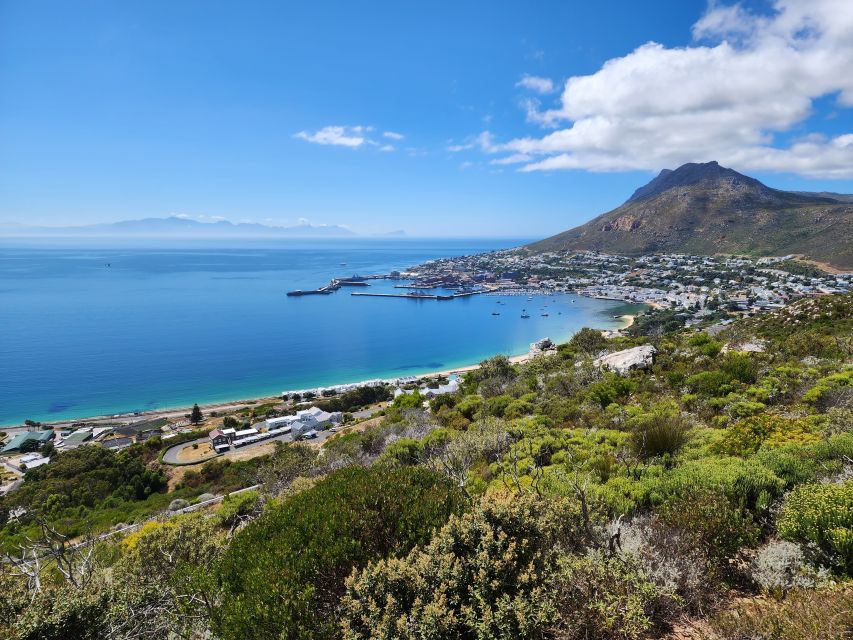 Cape Town: Peninsula, Penguins & Cape of Good Hope Day Tour - Guide Expertise