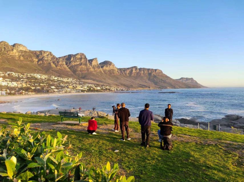 Cape Town Private Tour: Cape Point, Penguin & Table Mountain - Review Summary and Highlights