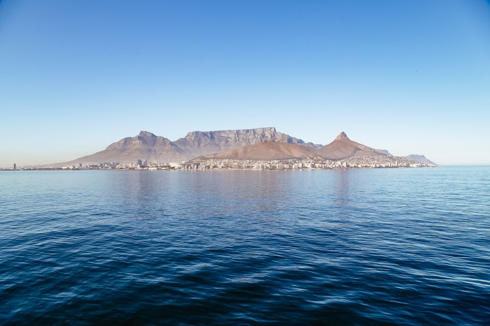 Cape Town: Waterfront and Sunset Champagne Cruise - Review Summary