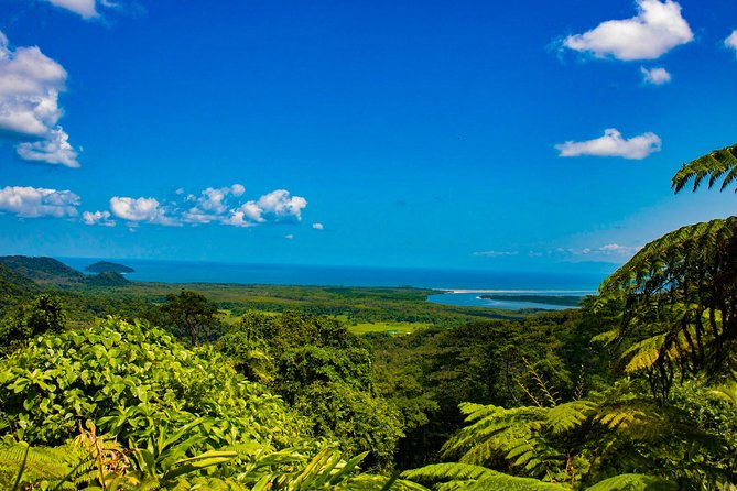 Cape Tribulation Day Tour - Reviews