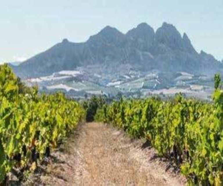 Cape Winelands: SEGWAY off Road and Wine & Cheese Tour Combo - Inclusions