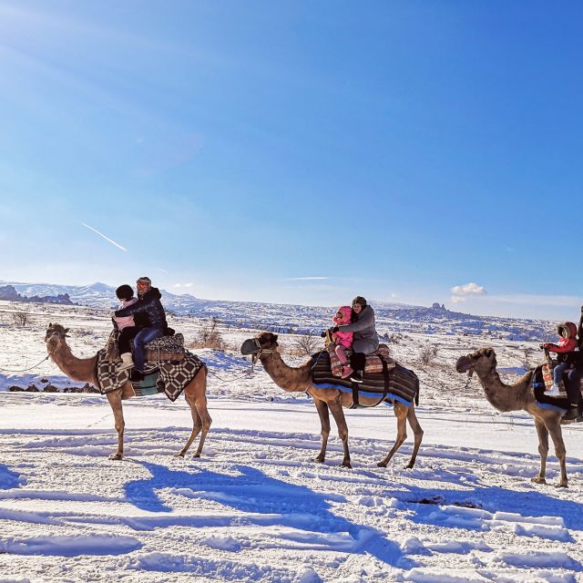 Cappadocia: Sunset or Sunrise Scenic Camel Ride - Activity Review and Guest Feedback