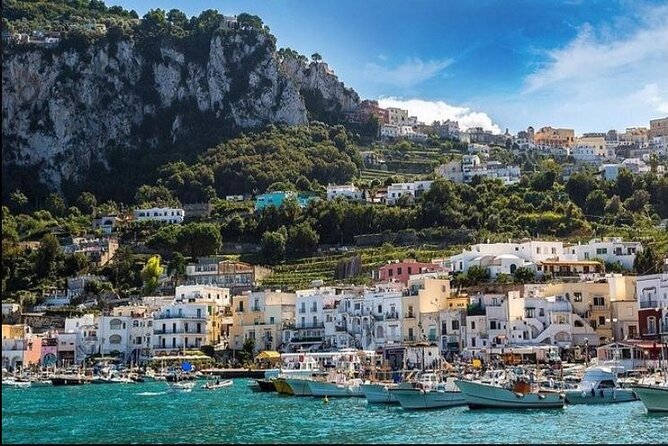 Capri Deluxe Small Group Shared Tour From Sorrento, Positano, Amalfi - Booking and Confirmation Process