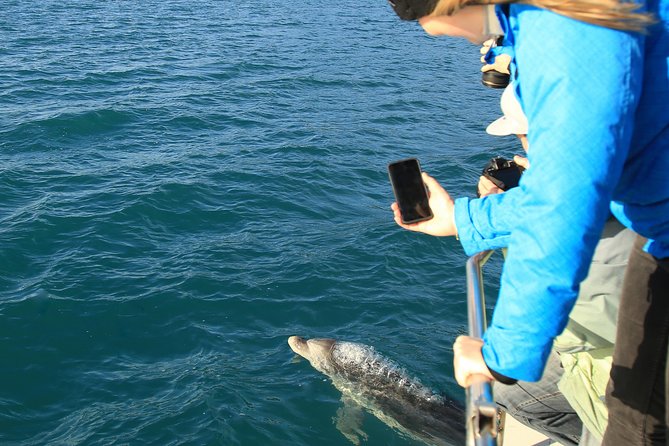 Captain Cook and Dolphin Cruise - Refreshments and Pricing