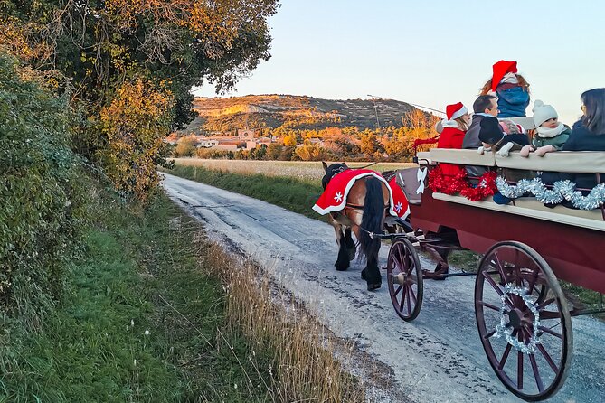 Carriage Rides, Pays De Sommières - Reviews and Ratings