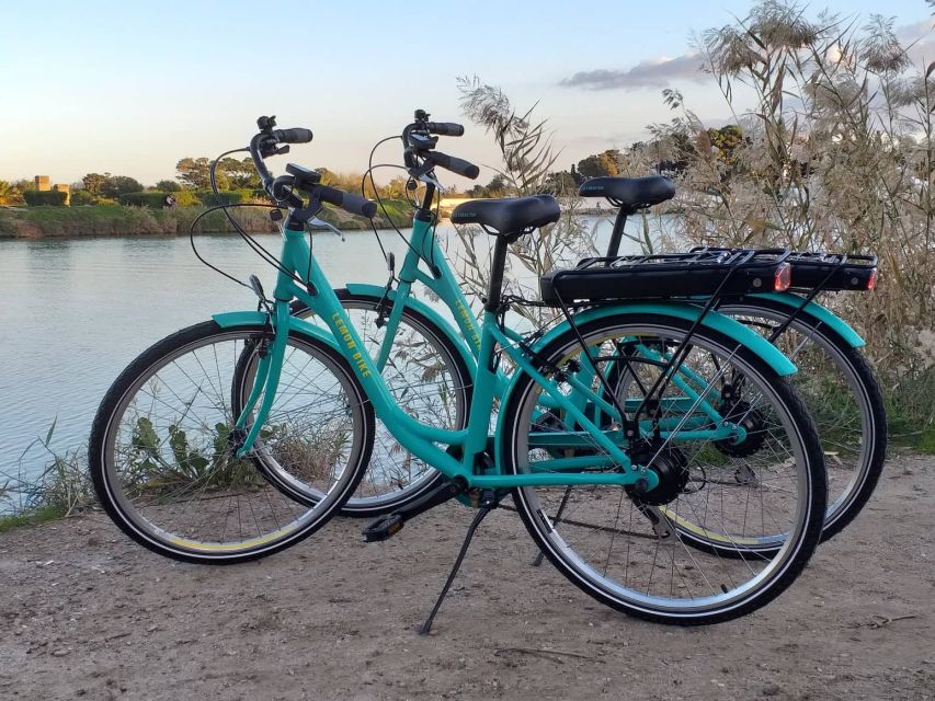 Carthage: Guided Bike Tour of the Archaeological Site - Languages Offered