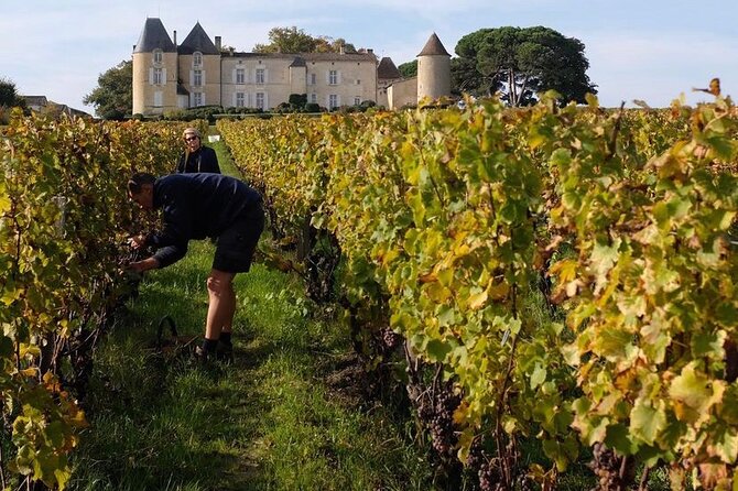 Castel Wine Tour in Bordeaux Margaux - Booking and Pricing