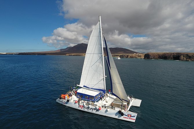 Catamaran Cruise to Papagayo Beaches, Lunch and Water Activities - Hosts Response Insights