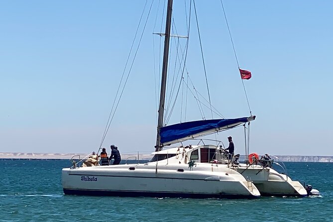 Catamaran Trip in the Big Bay of Dakhla - Booking Process