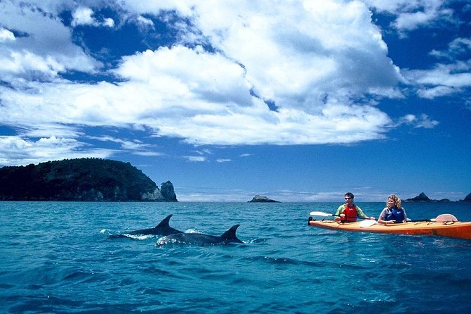 Cathedral Cove Kayak Tour - Additional Information