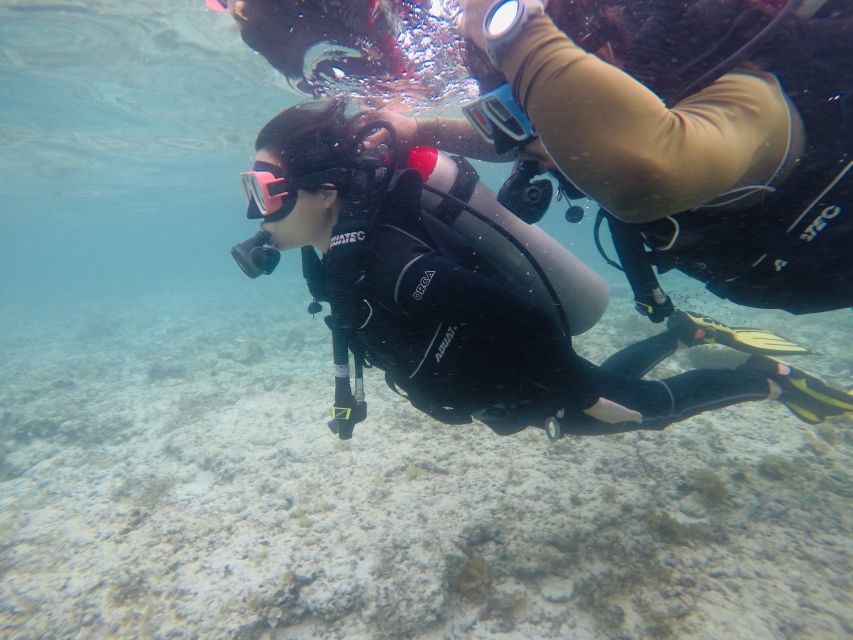 Cebu: Scuba Diving With Sardines and Pescador Island Snorkel - Customer Reviews