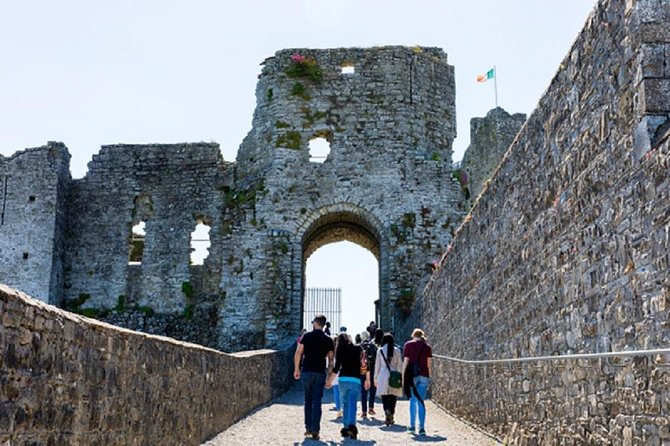 Celtic Boyne Valley & Ancient Sites Tour From Dublin - Tour Guides Performance