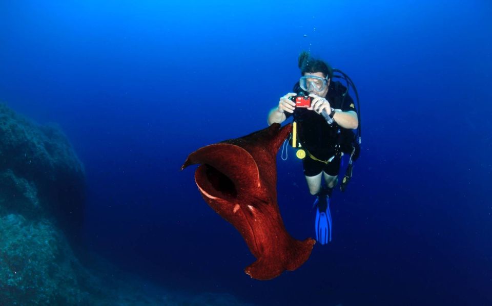 Cesme: Scuba Diving Experience - Customer Reviews and Recommendations