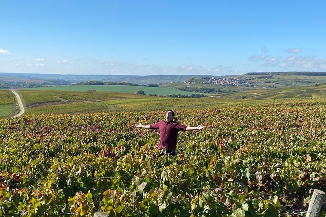 Champagne Cellars & Vineyards Tour From Reims Full Day - Lunch in Champagne Region