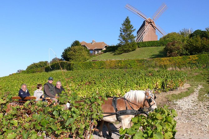 Champagne Day Tour With Reims, Cellars Visit & Champagne Tasting From Paris - Last Words