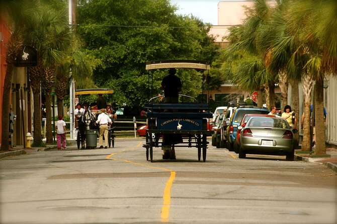 Charleston Horse & Carriage Historic Sightseeing Tour - Reviews
