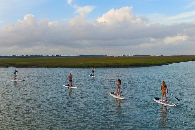 Charleston Stand-Up Paddleboard Eco Tour - Reviews and Testimonials