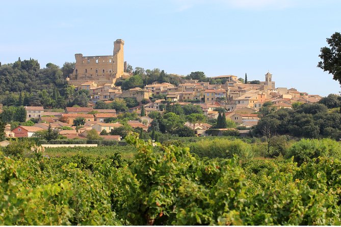 Châteauneuf Du Pape Wine Day Tasting Tour Including Lunch From Avignon - Customer Feedback and Reviews