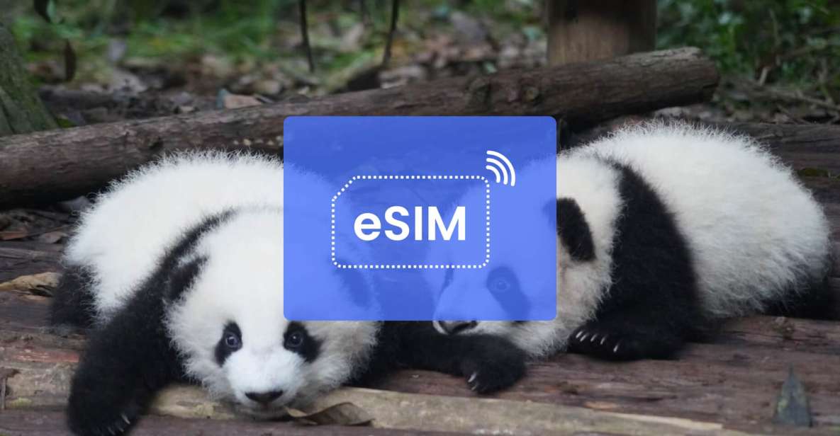 Chengdu: China (With Vpn)/Asia Esim Roaming Mobile Data Plan - Positive Customer Reviews and Testimonials