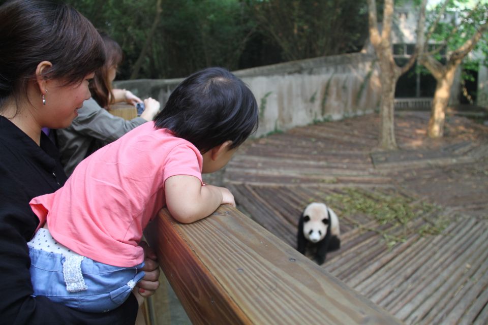 Chengdu: Giant Panda Breeding Research Base Ticket - Starting/Pickup Location