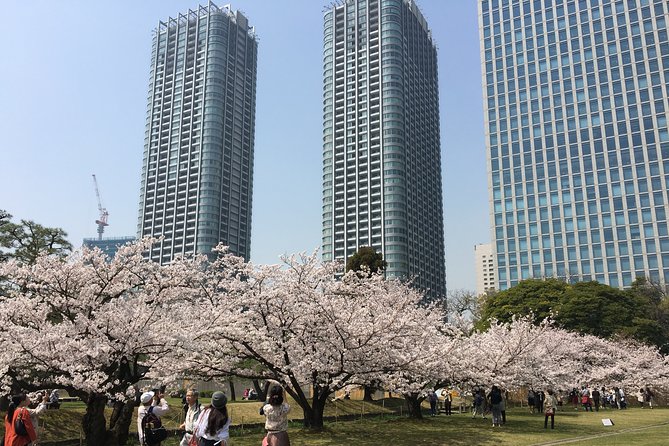 Cherry Blossom Tour in Tokyo - Cherry Blossom Tour Local Cuisine