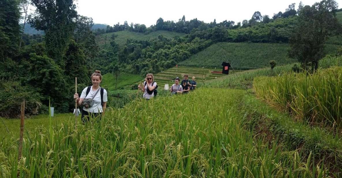 Chiang Mai: 2-Day Jungle Trek With Elephant Farm & Raft Ride - Karen Hill Tribe Visit