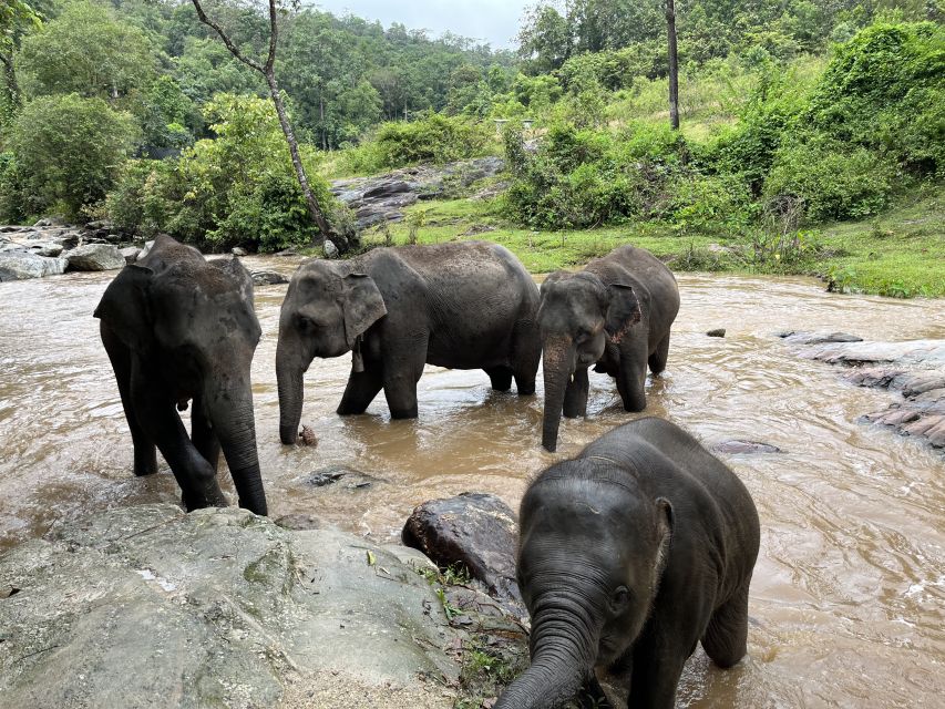 Chiang Mai: Doi Inthanon and Elephant Sanctuary Tour - Meeting Point & Schedule