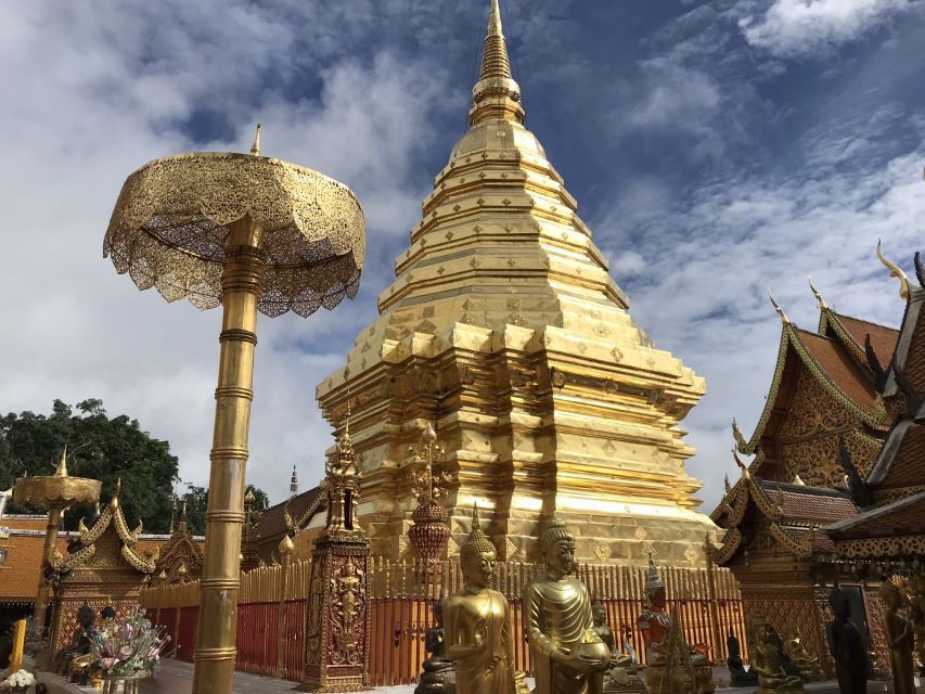 Chiang Mai: Doi Suthep Temple & Elephant Sanctuary Day Trip - Review Summary