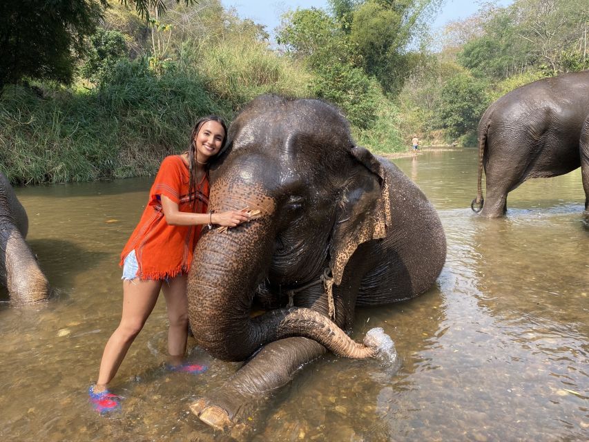 Chiang Mai: Elephant Sanctuary and Sticky Waterfall Tour - Customer Reviews