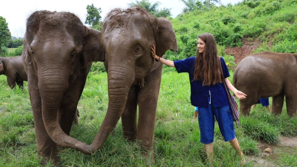 Chiang Mai: Elephant Sanctuary Interactive Tour - Customer Reviews