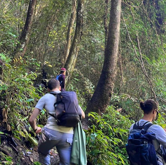 Chiang Mai: Elephant Sanctuary & Jungle Trek W/ Waterfall - Transportation Concerns