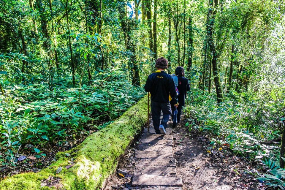 Chiang Mai: Kew Mae Pan Nature Trail & Doi Inthanon Day Trip - Ratings and Reviews
