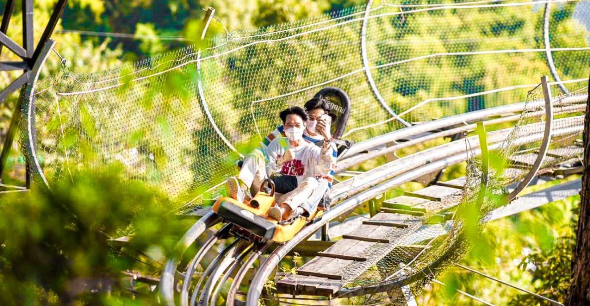 Chiang Mai: Pongyang Jungle Coaster & Zipline - Reviews and Feedback