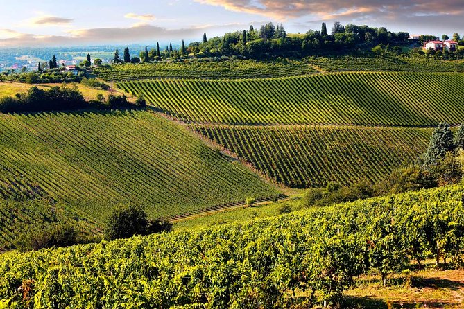 Chianti Half-Day Wine Tour in the Tuscan Hills Small Group From Lucca - Tour Directions and Meeting Point