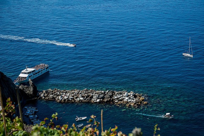 Cinque Terre Day Trip From Florence With Optional Hiking - Tour Guides and Experience