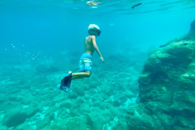 Circle Island North Shore Adventure Tour Snorkeling - Tailored Experience and Recommendations