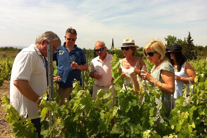 Cité De Carcassonne and Wine Tasting Private Day Tour From Toulouse - Reviews and Ratings