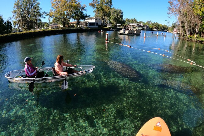 Clear Kayak Manatee Ecotour of Crystal River - Cancellation Policy