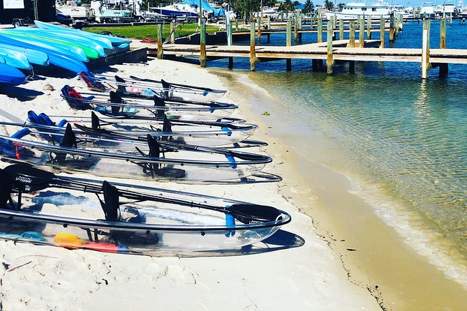 Clear Kayak Tour in Jupiter - Customer Reviews and Booking