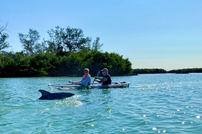 Clear Kayak Tour of Shell Key Preserve and Tampa Bay Area - Additional Information