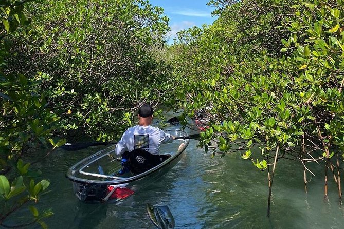 Clear Kayak Tours in Fort Pierce - Tour Guides