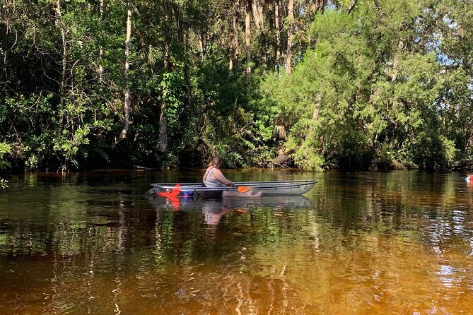 Clear Kayak Tours in Weeki Wachee - Service Quality and Customer Experience