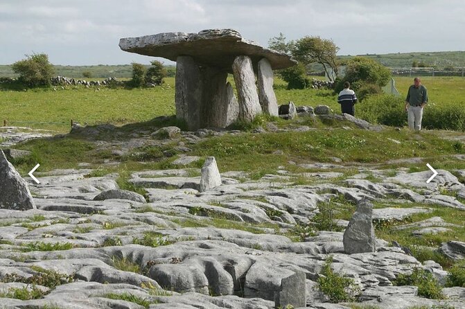 Cliffs of Moher and the Burren Private Tour From Dublin - Common questions