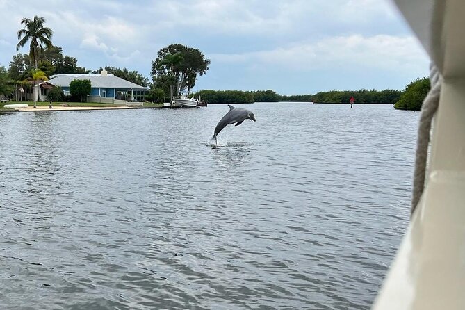 Cocoa Beach Dolphin Tours on the Banana River - Cancellation and Weather Policies